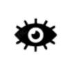 iconcamara05